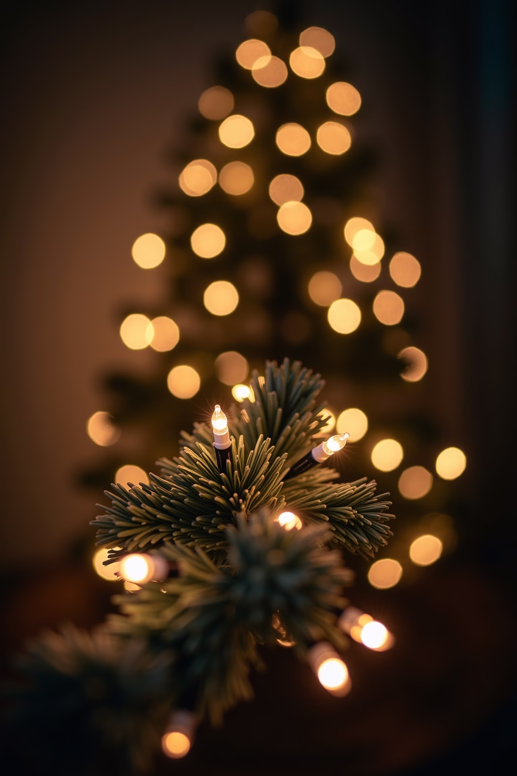 ast deko weihnachten outline 5