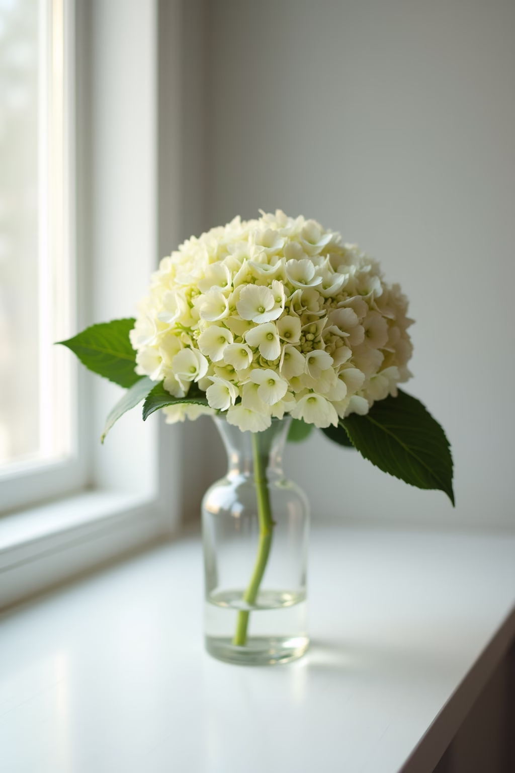 einfache deko mit hortensien outline 7